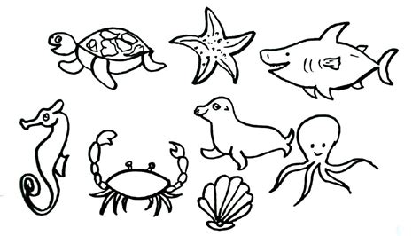 drawing of aquatic animals|How to Draw Marine Life .
